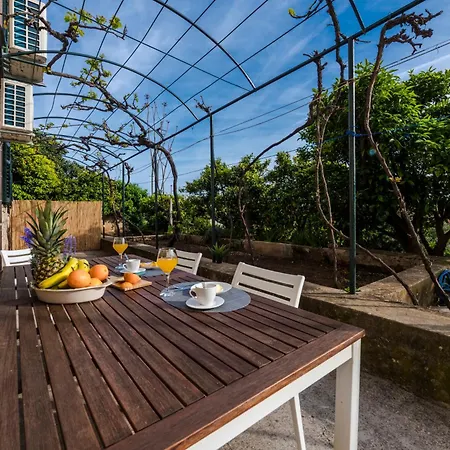 Vera House Hotel 3*